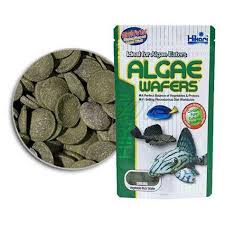 غذای قرصی آلجی ویفر هیکاری Hikari Tropical Algae Wafers