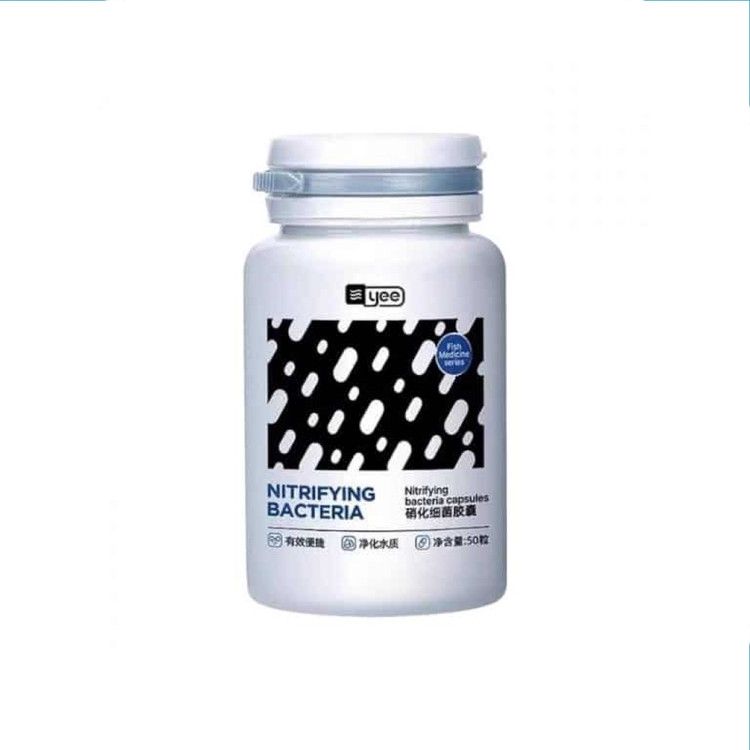 کپسول باکتری 50 عددی yee NITRIFYING BACTERIA YLL-015